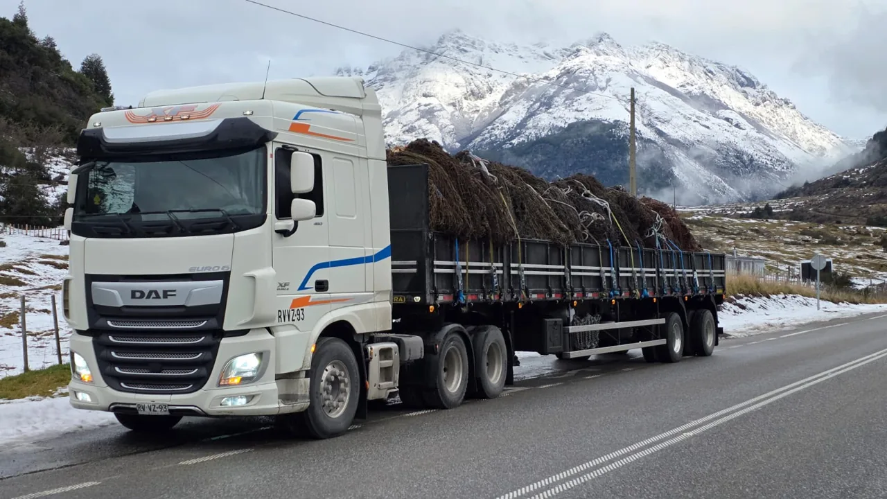 Camión blanco con carga en una carretera frente a montañas nevadas